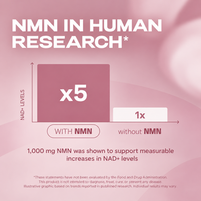 Chrovax Pure NMN Powder – 1000mg